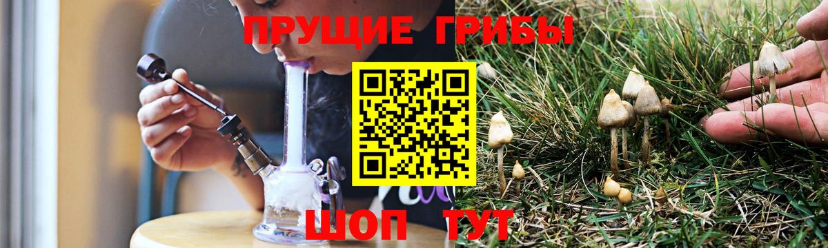 купить  сайты  Галлюциногенные грибы прущие грибы  Вход с VPN  Моздок 