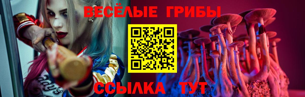 Галлюциногенные грибы Cubensis  Моздок 